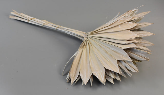 Image for Frunza palmier soare mini cu chiciura