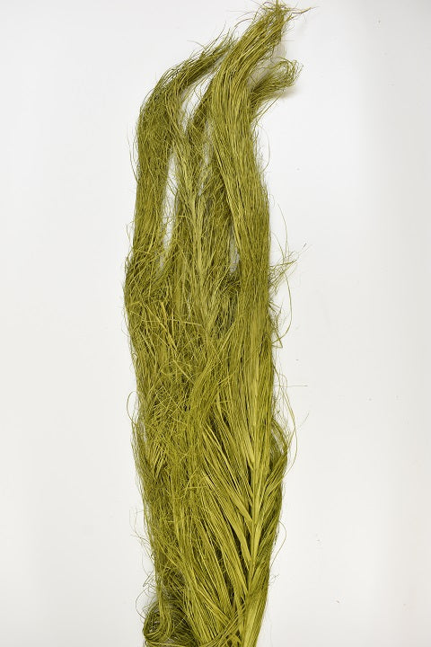 Image for Frunza palmier cu franjuri 110cm verde muschi
