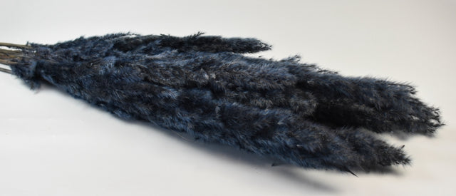 imagine produs Iarba pampas india negru