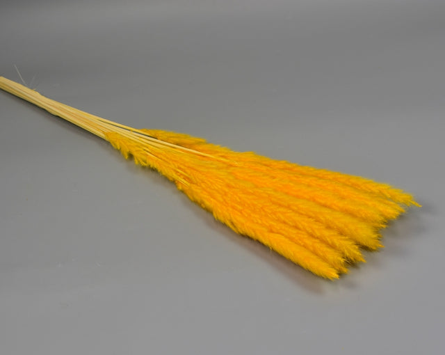 Image for Iarba pampas mini inalbit portocaliu