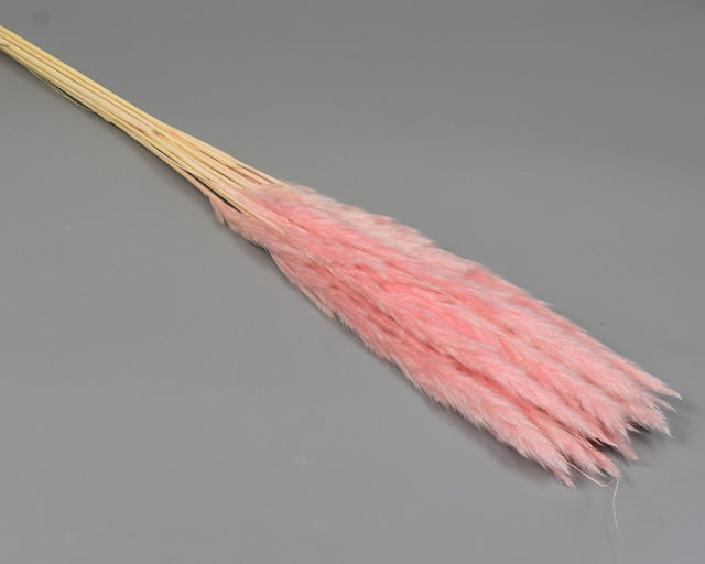 Image for Iarba pampas mini inalbit roz