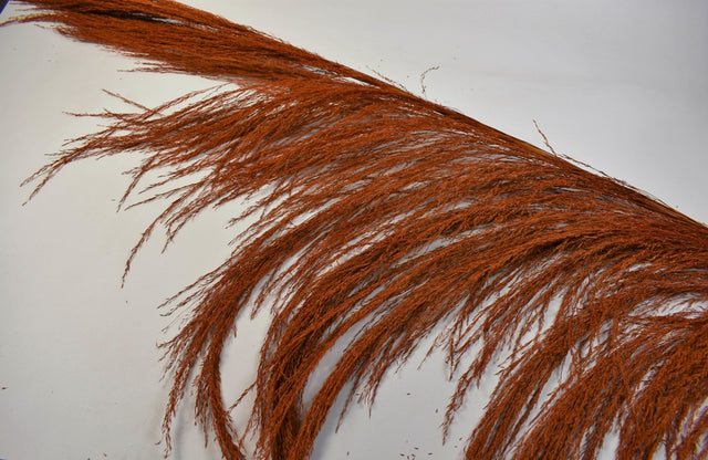 Image for Iarba pampas Rio 2m portocaliu