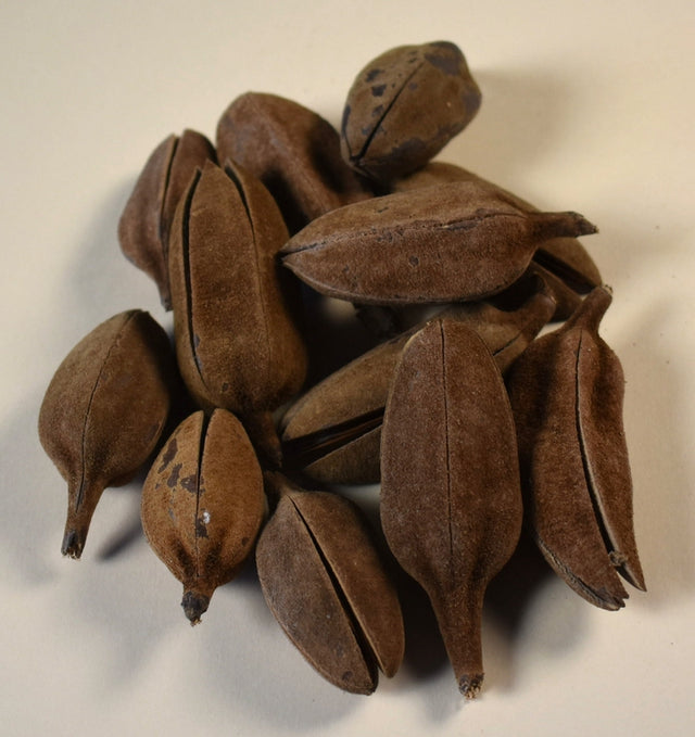 Image for Lily cu zale natur