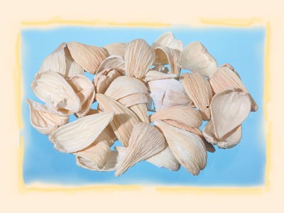 Image for Tutun salbatic cu zale inalbit