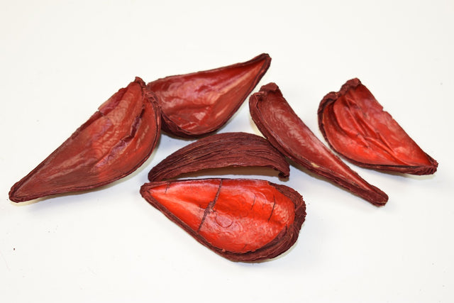 Image for Tutun salbatic cu zale rosu