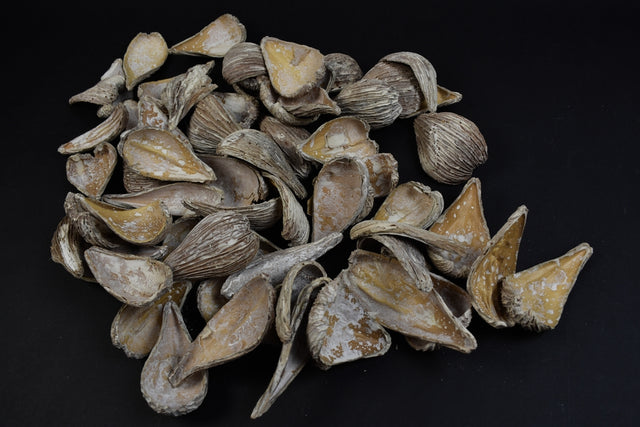 Image for Tutun salbatic cu zale brumat