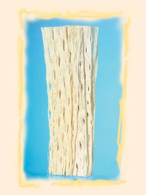 Image for Scoarta de papaia inalbit 55x15cm