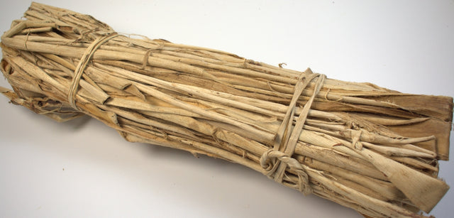 Image for Scoarta morus