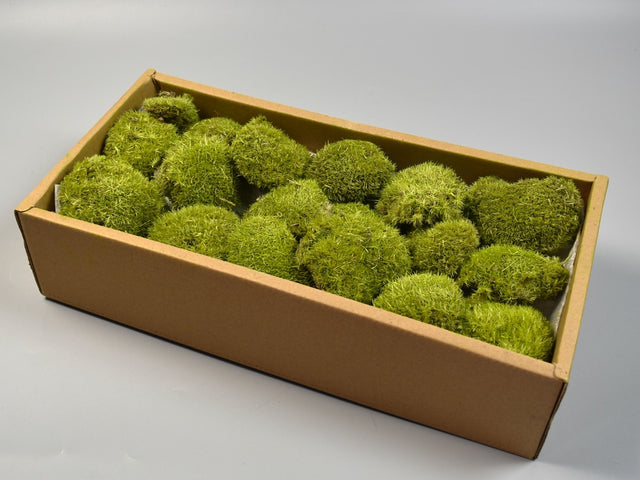 Image for Perna de muschi verde mediu