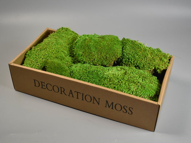 Image for Perna de muschi prep.mare verde mediu