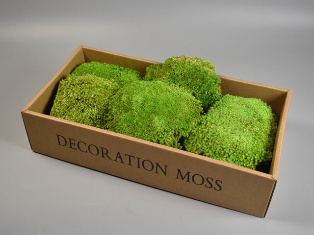 Image for Perna de muschi prep.mare verde deschis