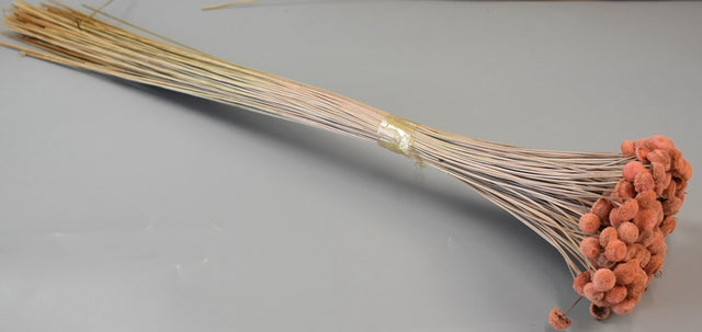 Image for Pavao 80gr piersica