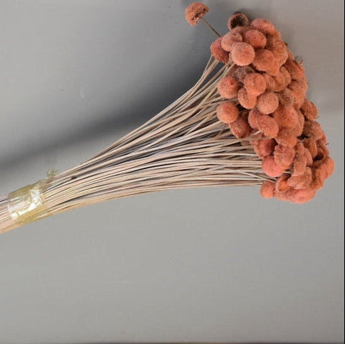Image for Pavao 80gr piersica