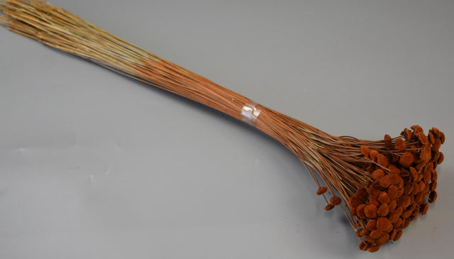 Image for Pavao 80gr maro