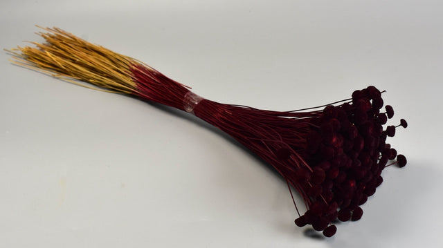 Image for Pavao 80g bordeaux