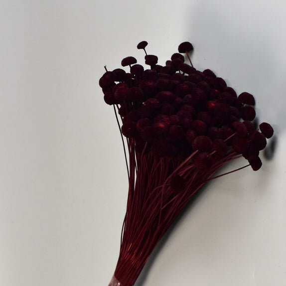 Image for Pavao 80g bordeaux