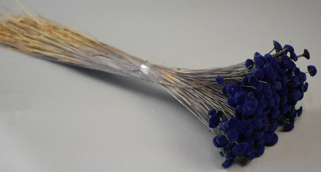 Image for Pavao 80g albastru