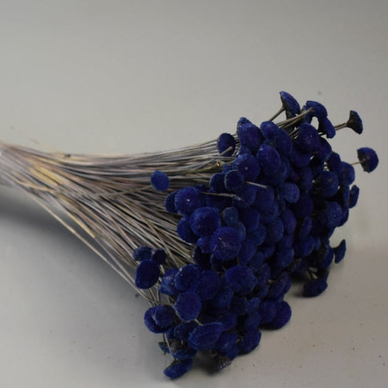 Image for Pavao 80g albastru