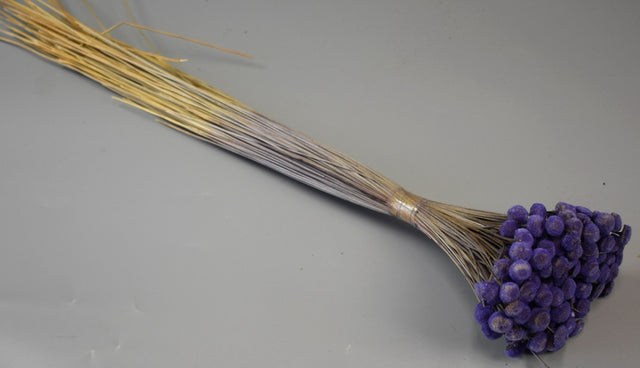 Image for Pavao 80gr mov