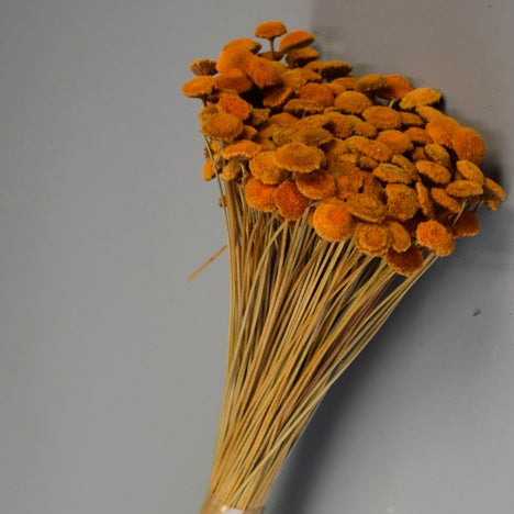 Image for Pavao 80gr portocaliu