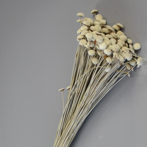 Image for Pavao 80gr natur
