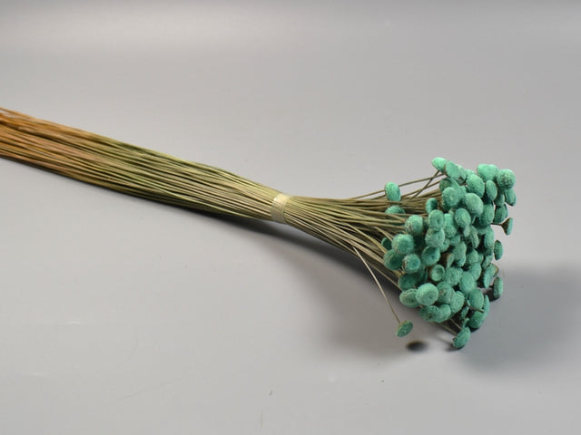 Image for Pavao 80g turcoaz