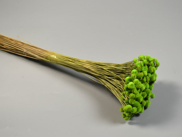 Image for Pavao 80gr verde deschis