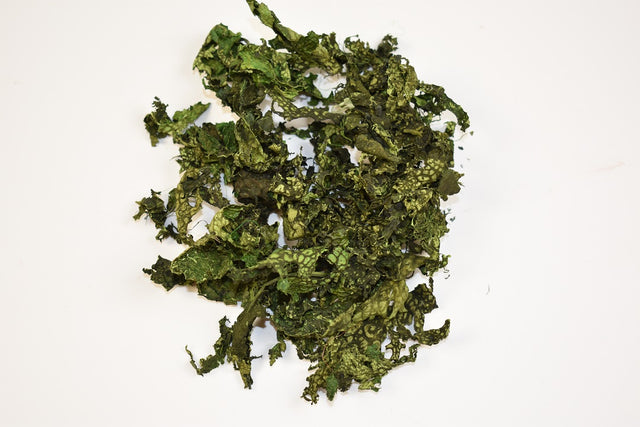 Image for Lichen prep.verde deschis