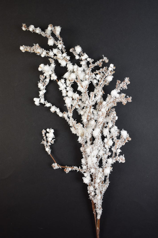 Image for Creanga cu bilute inzapezit S/7