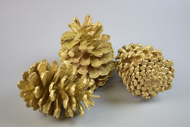 Image for Conuri pinus maritima 1kg auriu&glitter