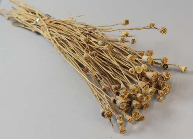 Image for Flori de mac natur