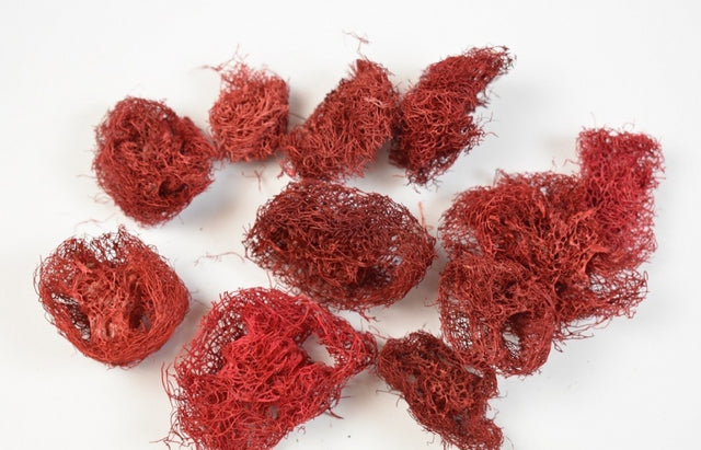 Felii de luffa 1,5cm rosu