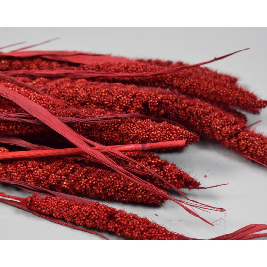 Ciumiz 100g rosu