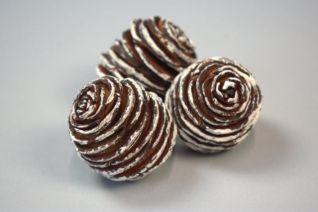 Image for Capete platyspernum inzapezit