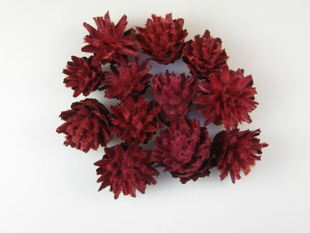 Image for Capete plumosum rosu