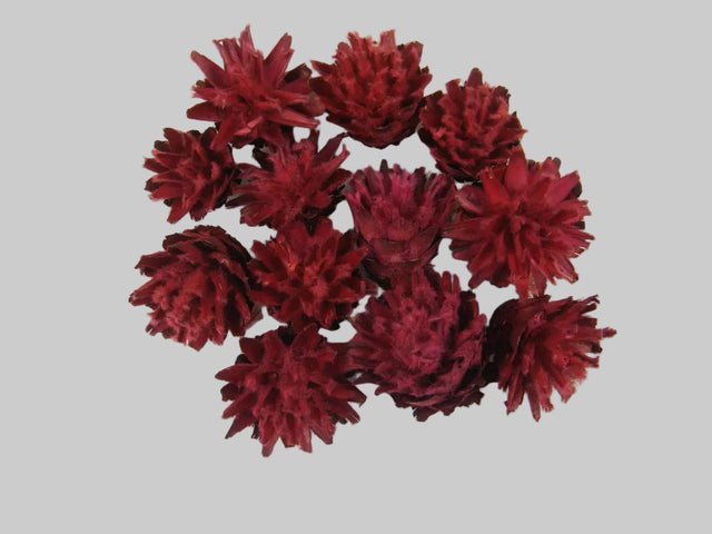 Image for Capete plumosum rosu