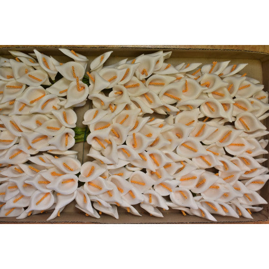 imagine produs Cale polifoam 7cm S/216