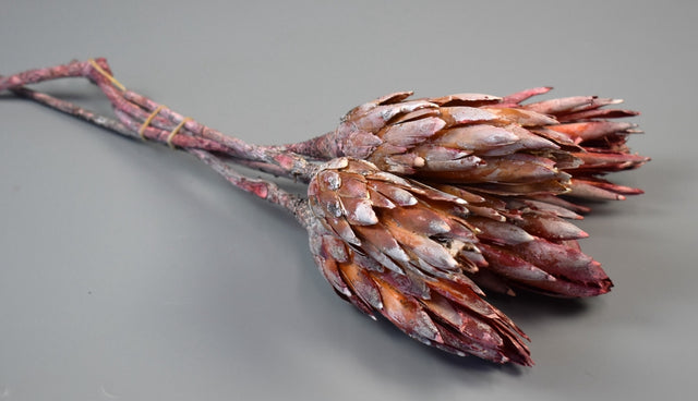 Image for Protea rosu cal.II cu chiciura