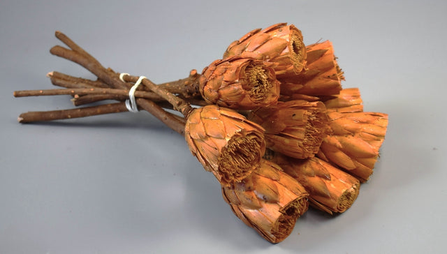 Image for Protea taiat portocaliu