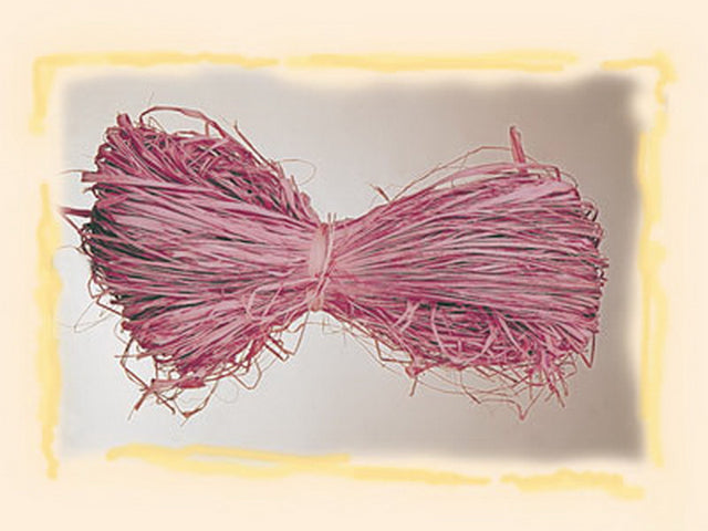 Image for Raffia roz