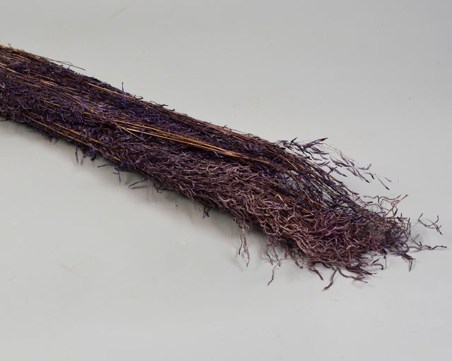 Image for Iarba tremuratoara inalbit mov