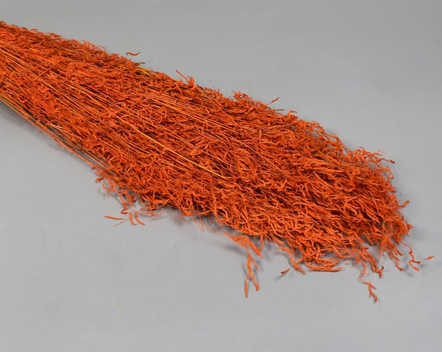 Image for Iarba tremuratoara inalbit portocaliu