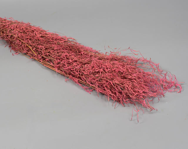 Image for Iarba tremuratoara inalbit roz