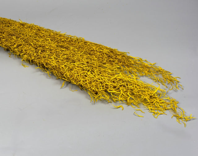 Image for Iarba tremuratoara inalbit galben