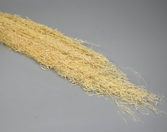 Image for Iarba tremuratoara inalbit