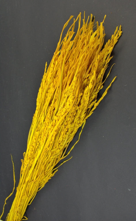 Image for Orez 100gr inalbit galben