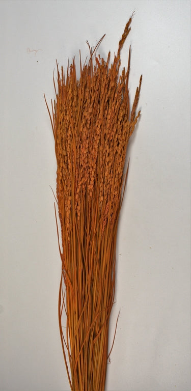 Image for Orez 100gr portocaliu