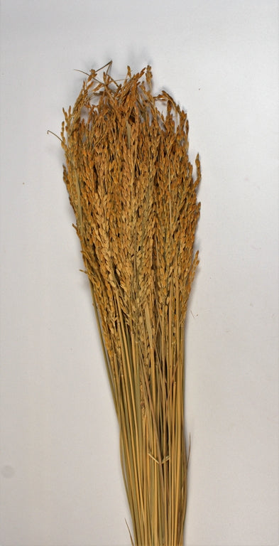 Image for Orez 100gr natur