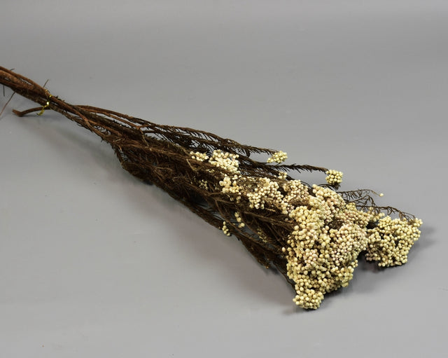 Image for Floare Orez prep. alb