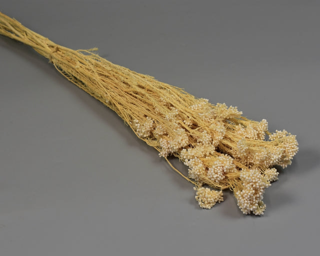 Image for Floare orez prep.inalbit